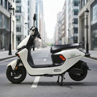 Modèles populaires N9, personnalisation d'usine, vélo électrique pour adultes, vélo électrique 1000w, moteur sans balais, scooter