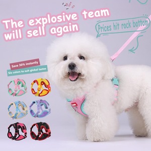 Set de Arnés y Correa de Malla Transpirable y Colorido para Perros y Gatos con Logo Personalizado para Perros Pequeños y Medianos - Product Image 2