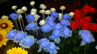 Lampes solaires 12V IP65 pour décoration de jardin extérieure, forme de rose, à induction, pour les fêtes