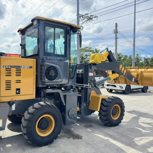 Offre Spéciale : Mini-chargeuse hydraulique de marque chinoise de premier plan, chargeuse sur pneus LW160FV 0,7 m³ pour travaux de terrassement, en promotion - Product Image 1