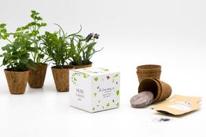 Kit de jardinage d'herbes aromatiques biologiques Kit de culture d'herbes aromatiques avec 8 kits de pots de démarrage d'herbes biodégradables - Product Image 6