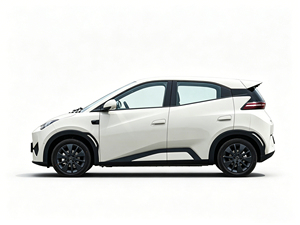 Nouvelle voiture électrique Byd Seagull 2026, <span class=keywords><strong>véhicule</strong></span> à énergie nouvelle, autonomie 305 km, <span class=keywords><strong>prix</strong></span> bas, <span class=keywords><strong>occasion</strong></span> - Product Image 2