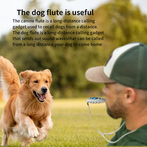 Pet <span class=keywords><strong>Dog</strong></span> Training Whistle Clicker Pet <span class=keywords><strong>Trainer</strong></span> Click Guide d'aide au chiot Obéissance Order Equipment - Product Image 4