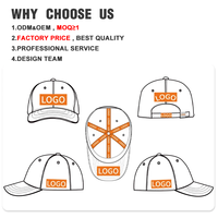 Personalizado al por mayor de algodón unisex de alta calidad bordado Logo 6 paneles papá sombrero de ala curva gorras de béisbol ajustables para los hombres
