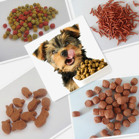 Machine de séchage de nourriture pour animaux de compagnie à petite échelle, four électrique, four à vapeur, machine à nourriture pour chiens