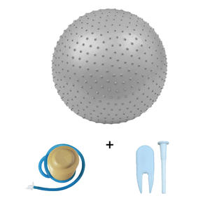 Ballon de yoga en PVC de 55 cm, anti-explosion, intégration sensorielle, entraînement, granulés de dragon, soulagement du stress féminin, livraison, ballon de massage - Product Image 3