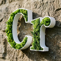 Lettres en mousse de renne naturelle préservée personnalisées, logo 3D en mousse, panneau mural pour spa, café, bureau, réception, décoration murale
