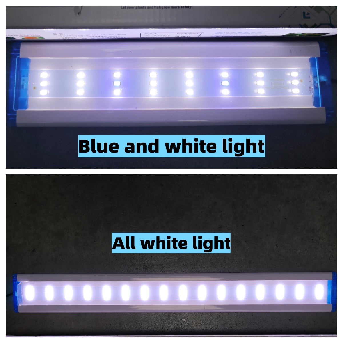 Lumière blanche et bleue (4 rangées de perles de lampe)