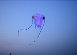 <span class=keywords><strong>Cerf</strong></span>-<span class=keywords><strong>volant</strong></span> en nylon souple 3D Trilobite LED Performance de plage par <span class=keywords><strong>cerf</strong></span>-<span class=keywords><strong>volant</strong></span> gonflable géant - Product Image 4