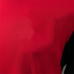 Футболка сборной Австрии 2026 (домашняя, игровая версия) – быстросохнущая, легкая, дышащая, с коротким рукавом, для Чемпионата мира - Product Image 6