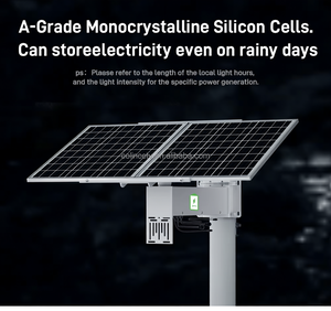 Panneau solaire mono 60W 30Ah 333Wh DC12V 5V pour caméra de surveillance périurbaine et surveillance en zone sauvage dans les zones inhabitées à très basse température extrême - Product Image 2