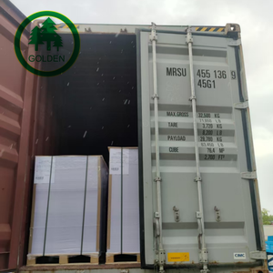 Papel de alta calidad para cuadernos, papel bond de 68 g/m² para folletos corporativos en el mercado argentino - Product Image 6