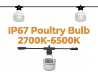Éclairage LED pour volailles 9W IP67, lampe de hangar AC100-265V, rouge et blanc commutable, couvercle transparent, sans scintillement, gradation, 130lm/W, garantie 5 ans