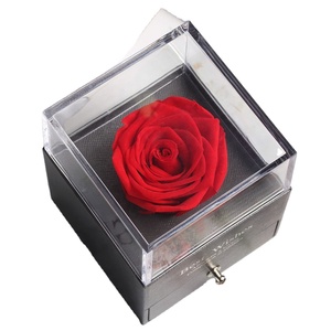 <span class=keywords><strong>La</strong></span> <span class=keywords><strong>Belle</strong></span> <span class=keywords><strong>et</strong></span> <span class=keywords><strong>la</strong></span> Bête <span class=keywords><strong>Rose</strong></span> <span class=keywords><strong>Rouge</strong></span> avec Pétales Tombés dans un Dôme de Verre Anniversaire Noël Saint Valentin Cadeau du Nouvel An Base en Bois - Product Image 2