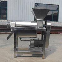 Kleine schaal tomaten sap en tomatenpuree verwerkingsmachine van roestvrij staal