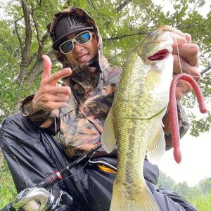 Leurre de pêche souple en plastique, type ver de pâle ondulé, écologique, sans plomb, pour montage Neko, pour la pêche au bar, au brochet, en eau douce et en eau salée - Product Image 3