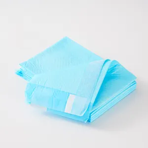 New Ready-Ship Pet Waste Disposal Big Dog Sanitary Absorbent Diaper Toilet Puppy Defecation Training Urine Pee Pads Rolls