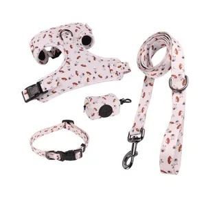 Accessoires personnalisés en usine pour animaux de compagnie Harnais et laisse pour chien de marque privée impression de luxe ensemble de harnais pour petit chien personnalisé