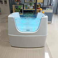 Baignoires de toilettage pour animaux de compagnie en acrylique, lumière LED, spa, baignoire à bulles d'air, baignoire à ozone