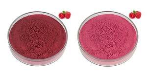 Keton <span class=keywords><strong>Fructus</strong></span> <span class=keywords><strong>Rubi</strong></span> grosir ekstrak pembekuan-kering instan organik 100% bubuk buah Raspberry - Product Image 2