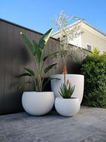 Jardinière ronde en béton sur mesure, pot à fleurs en ciment moderne et minimaliste, prix direct usine OEM ODM, export en gros