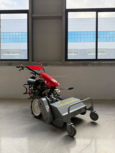 Máquina Trituradora de Maleza Semiautomática de Empuje Manual <span class=keywords><strong>para</strong></span> Campos de Hierba, Granjas y Huertos, con Motor/Caja de Cambios - Product Image 5