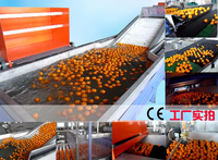 Fruit Voorsorteerlijn Kalibreermachine Fruit Sorteermachine Passievrucht Sorteerlijn