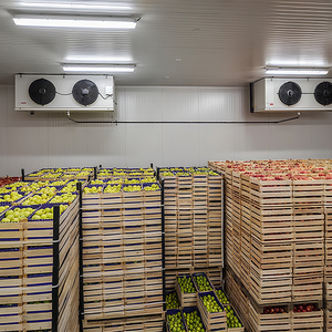 Conteneur frigorifique de 20 pieds, <span class=keywords><strong>chambre</strong></span> <span class=keywords><strong>froide</strong></span> solaire, <span class=keywords><strong>prix</strong></span> du conteneur frigorifique d'<span class=keywords><strong>occasion</strong></span> à vendre - Product Image 4