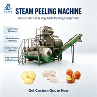 Automatische stoomschilmachine voor de verwerking van aardappelen, wortelen en gember |   Industriële groenteschiller met hoge capaciteit