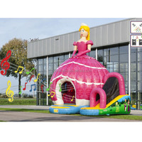 Grand videur gonflable de maison de videur de princesse, château plein d'entrain sautant extérieur avec la glissière à vendre