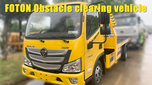 Voiture électrique Foton Mini EV à prix abordable, vente en gros de fourgons électriques pour la logistique urbaine, voiture à essence - Product Image 6