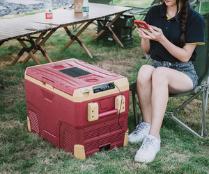 Nouvelle arrivée IR42 nouveaux produits <span class=keywords><strong>12V</strong></span> 24V <span class=keywords><strong>220V</strong></span> <span class=keywords><strong>Camping</strong></span> réfrigérateur congélateur Portable glacière maison voiture réfrigérateurs - Product Image 4