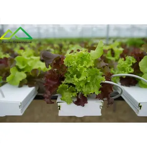 vegetable nft hydroponic growing system PVC hydroponic pipe/tube/channel