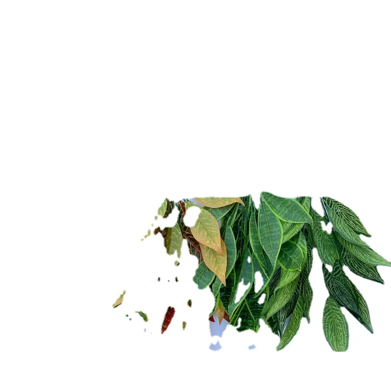 LFH 11 상록수 잎 호랑이 피부 브라질 영화 녹색 식물 장식 꽃 실내 풍경 시뮬레이션 꽃