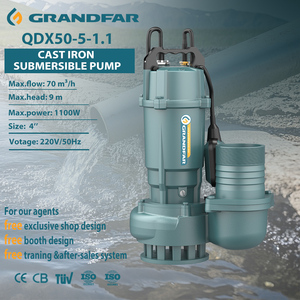 Pompe à eau submersible Grandfar QDX 1.1kw 220v, haute performance pour l'irrigation, drainage en fonte, version QDX50-5-1.1 K1 - Product Image 1