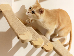 Sản phẩm thú cưng 2025: Giường ngủ treo tường bằng gỗ cho mèo, giường ngủ hiện đại cho mèo, đồ nội thất giường ngủ cho thú cưng bằng gỗ chắc chắn, kệ ngủ cho mèo bằng dây thừng sisal - Product Image 5