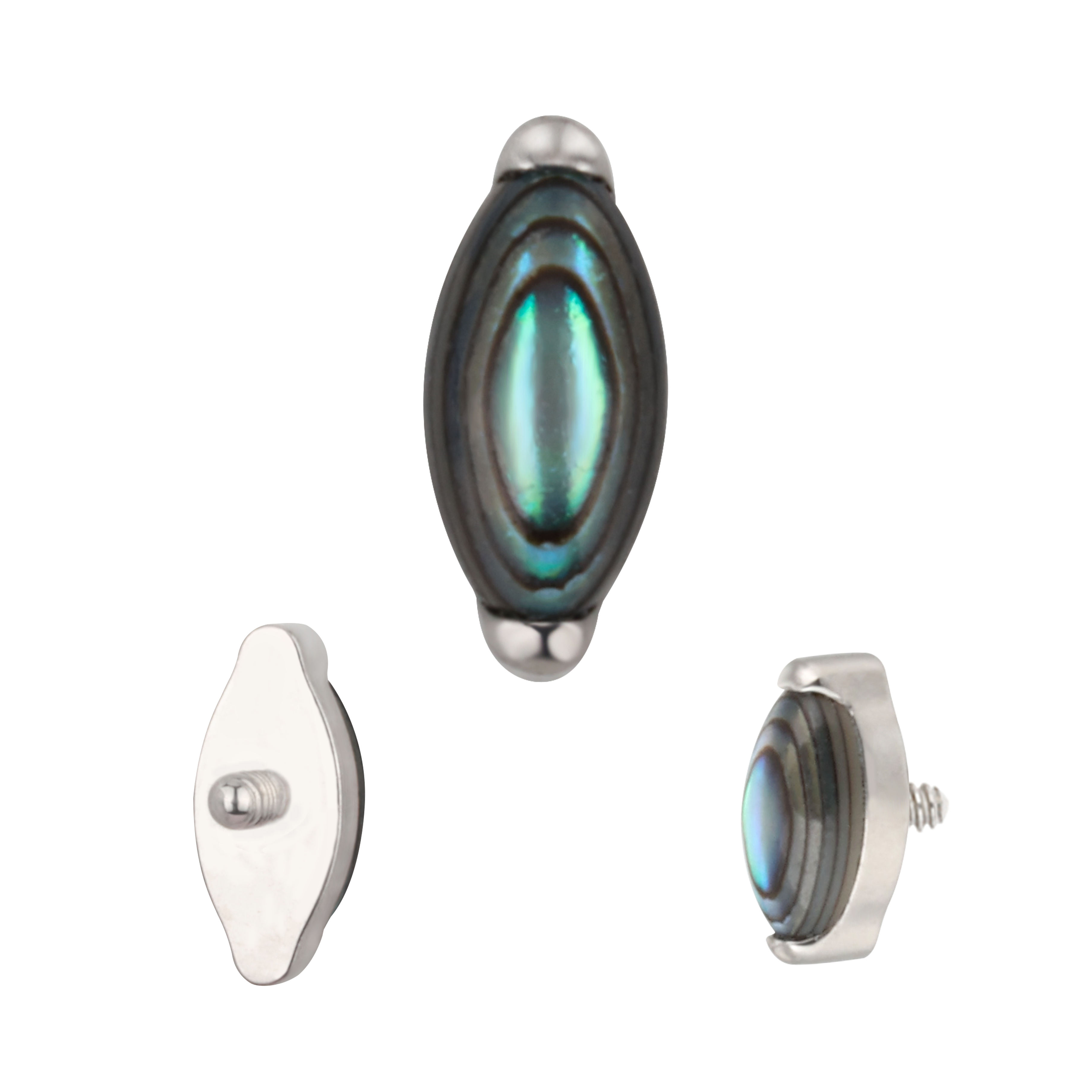 Coquille d'ormeau TB-1195