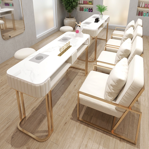 Light Luxury Two-Seater Salon Manicure Table Custom Professional Nail Artist Desk Modern Design Metal Material Fashion Chair - Product Image 1