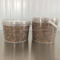 Vers de farine séchés riches en protéines 1 kg Emballage personnalisé en seau 100% Vers de farine naturels purs Nourriture pour animaux de compagnie séchée