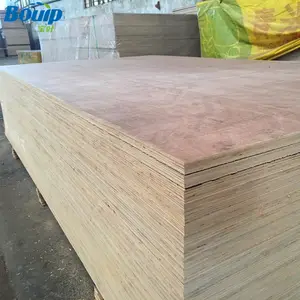 Construction Plywood Luan Plywood