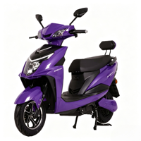 Moto électrique longue portée 1000W Vente directe d'usine