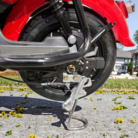Fabricant chinois en gros, vélo électrique urbain à 2 places avec moteur sans balais 350W, batterie au plomb-acide 48V, grand panier, acier sécurisé à l'arrière