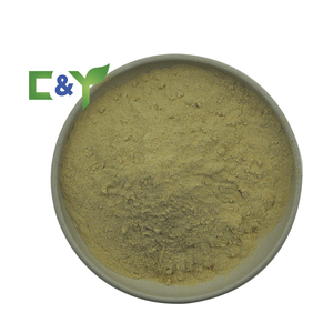 Горячая распродажа: Натуральный сухой порошок моркови высшего качества, экстракт корня моркови - Product Image 2