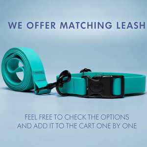 Kişiselleştirilmiş PVC tasma su geçirmez PVC köpek tasma yaka kolay temiz köpek tasmaları takım Pet dişli avcılık için - Product Image 6