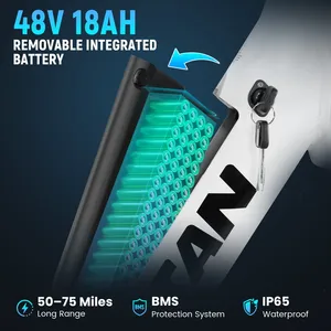 <span class=keywords><strong>Bicicleta</strong></span> Eléctrica Urbana de Ocio <span class=keywords><strong>RATTAN</strong></span> LF Pro con Envío en la UE, Motor sin Escobillas de 750W, 46km/h, 120km de Autonomía, 18AH, Frenos Hidráulicos - Product Image 5