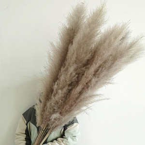 <span class=keywords><strong>Grand</strong></span> <span class=keywords><strong>vase</strong></span> <span class=keywords><strong>à</strong></span> fleurs de <span class=keywords><strong>pampa</strong></span> pour décoration de maison XL, arche de mariage, fleurs de pompas, gris, naturel, véritable herbe de <span class=keywords><strong>pampa</strong></span> - Product Image 4