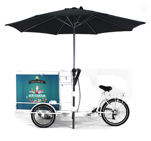 Tricycle électrique mobile pour crème glacée avec moteur de 250 W, <span class=keywords><strong>chariot</strong></span> à crème glacée, vélo pour boissons fraîches - Product Image 1