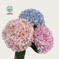 Simulasi 3D Bunga Hydrangea Buatan Tangan dari Sutra Artifisial untuk Pernikahan, Tahan Lama, Modern, Wisuda, Halloween, Hotel, Hari Valentine