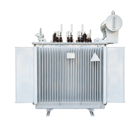 Transformateur de distribution immergé dans l'huile 33 kV S11 à enroulement en aluminium économique 400 V 50 Hz