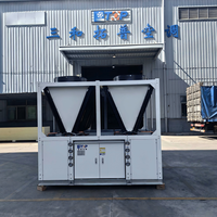 Refroidisseur d'air industriel modulaire de type scroll avec protection anticorrosion spéciale 50 kW 150 kW 300 kW